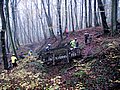 IMG_0023.jpg