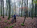 IMG_0033.jpg