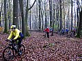 IMG_0034.jpg