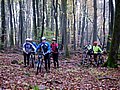 IMG_0035.jpg