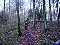 IMG_0036.jpg