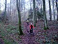 IMG_0037.jpg