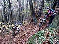 IMG_0041.jpg